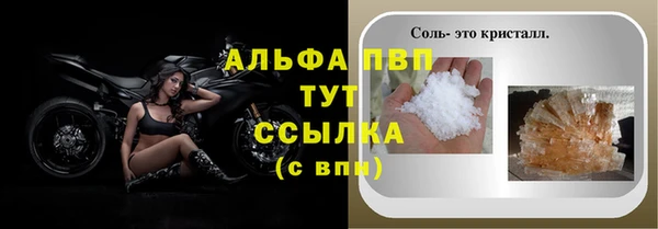 эйфоретик Баксан