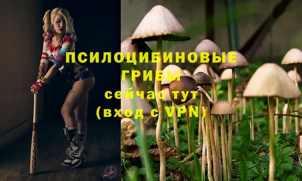 соль ск Балахна