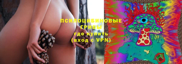 соль ск Балахна