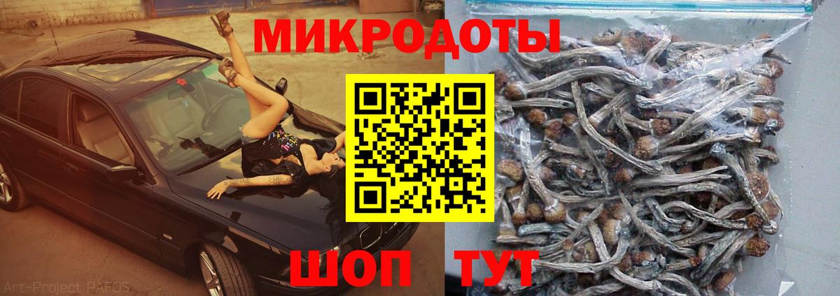 Псилоцибиновые грибы Cubensis  Галлюциногенные грибы MAGIC MUSHROOMS  Барабинск  Вход с VPN 